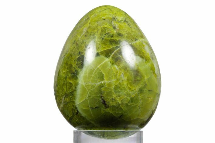 Polished Green Opal Egg - Madagascar #356155